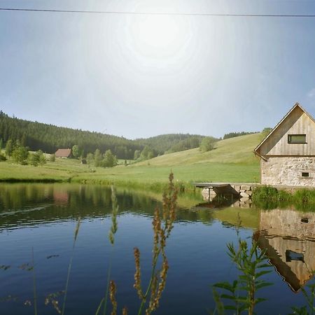 Ferienhaus Im Schwarzwald Am See "Backhaeusle" Villa Hornberg Luaran gambar